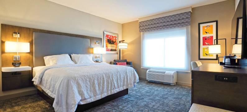 拉伯克大学欢朋套房酒店(Hampton Inn & Suites by Hilton Lubbock University)图片