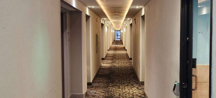 美居套房酒店-斯普林菲尔德 IL(MainStay Suites Springfield IL)图片