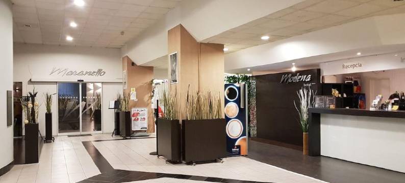 莫德纳酒店(Hotel Modena)图片