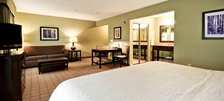 底特律坎顿欢朋套房酒店(Hampton Inn & Suites Detroit-Canton)图片