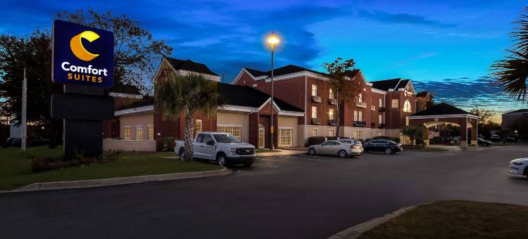 舒适套房酒店(Comfort Suites)图片