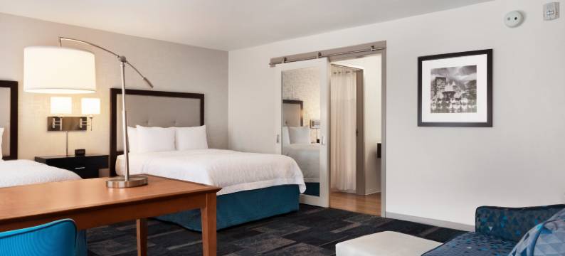 罗斯蒙特芝加哥奥黑尔欢朋套房酒店(Hampton Inn & Suites Rosemont Chicago O'Hare)图片