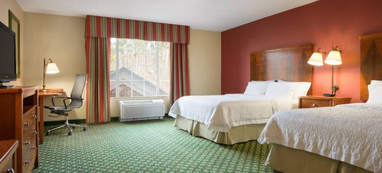 威廉斯堡中心欢朋套房酒店(Hampton Inn & Suites Williamsburg-Central)图片