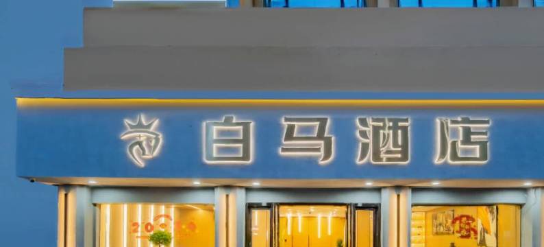 白马酒店(衢州高铁站店)图片