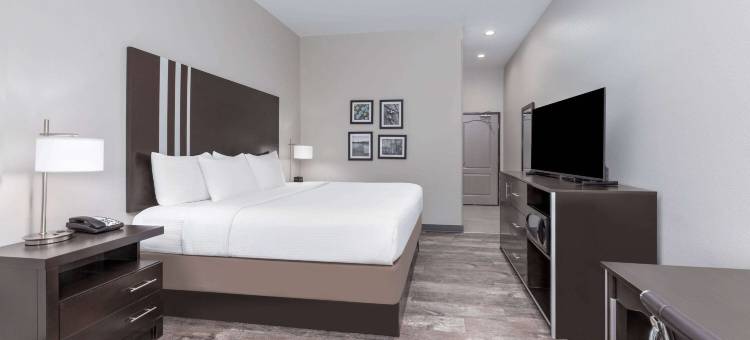 泰勒大学区拉昆塔温德姆套房酒店(La Quinta Inn & Suites by Wyndham Tyler - University Area)图片