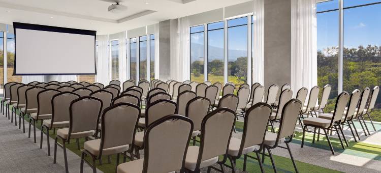希尔顿花园酒店圣何塞机场城市购物中心(Hilton Garden Inn San Jose Airport City Mall)图片