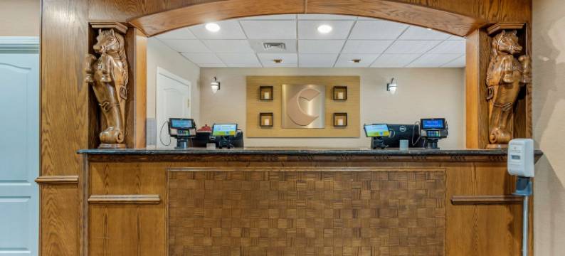 舒适套房酒店(Comfort Inn & Suites)图片