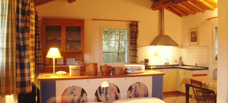 拉揣维尔斯纳酒店(La Traversina)图片