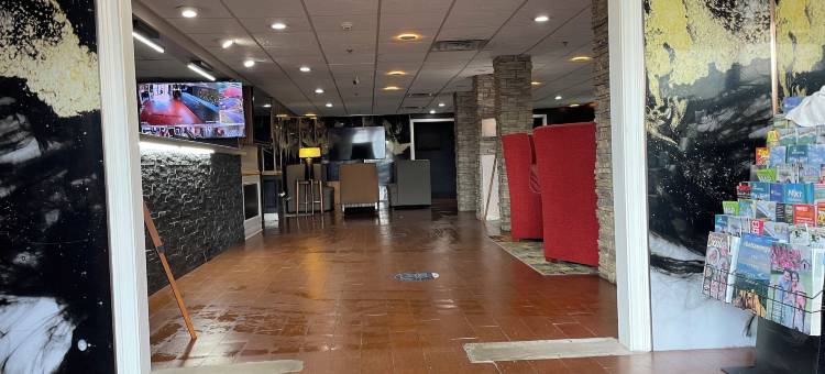 豪华酒店(Lux Hotel)图片