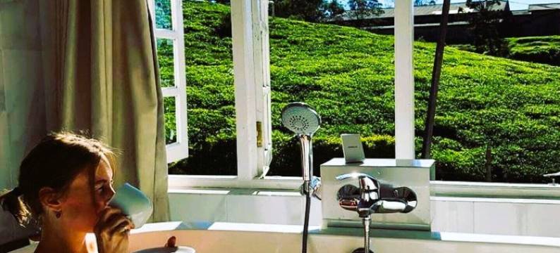 茶园别墅(Villa Tea Fields)图片