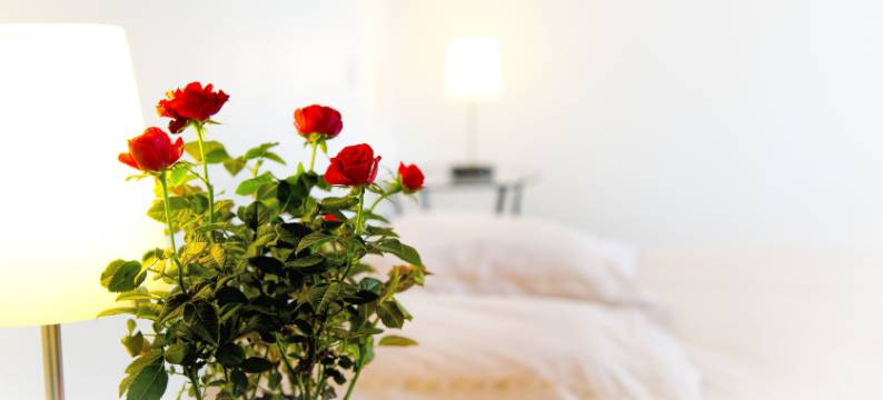 多曼斯和喷泉民宿(Chambres d'hôtes Entre Dolmens et Fontaines)图片