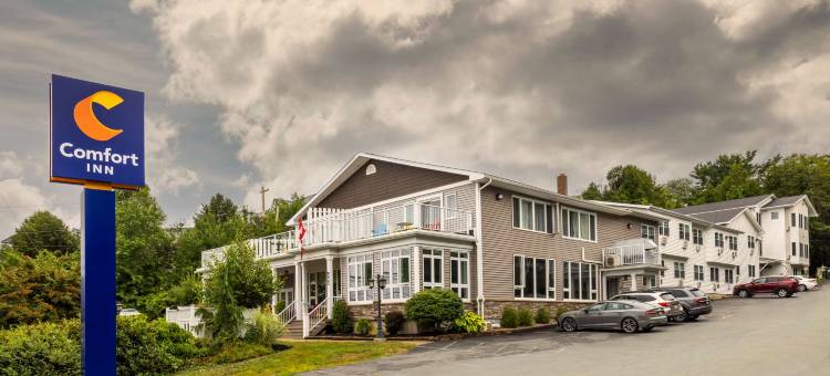 舒适酒店(Comfort Inn)图片