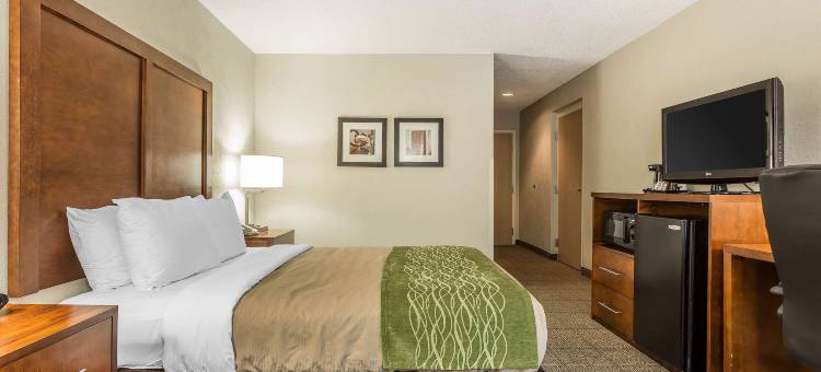 萨默维尔查尔斯顿凯艺酒店(Quality Inn Summerville-Charleston)图片