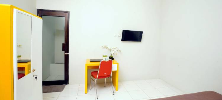 Dparagon 德维科拉(Dparagon Dwikora)图片