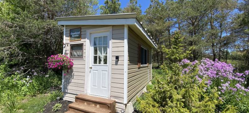 梦想家写作农场(Dreamers Writing Farm)图片