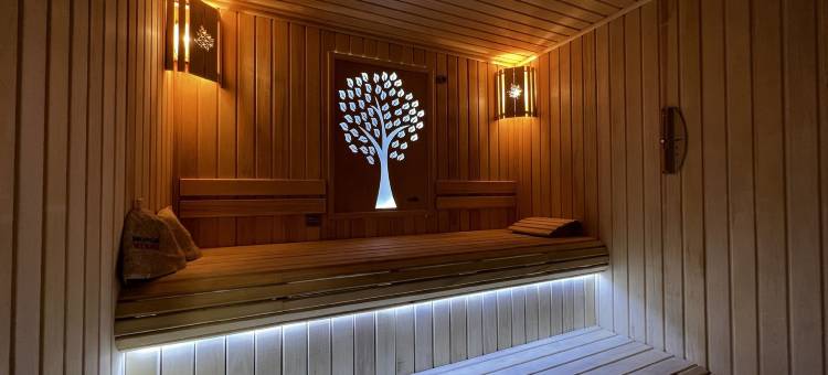 新高君悦酒店(King Plaza)图片