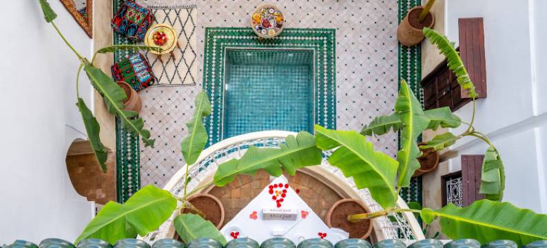 柏柏尔之星庭院及水疗中心(Riad Les Etoiles Berberes & SPA)图片