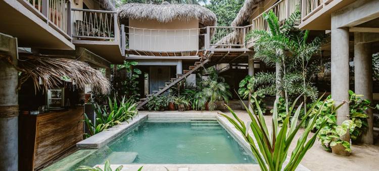 Raíz精品酒店(Raíz Hotel Boutique)图片