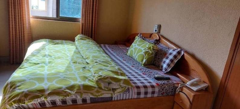 Pat酒店的房间(La Chambre de Pat Hotel)图片