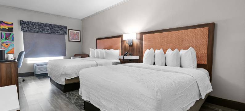 希尔顿欢朋酒店-塞金(Hampton Inn Seguin)图片