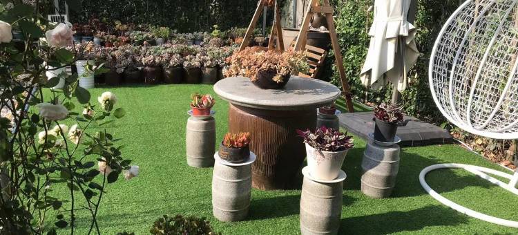 金山小阳公寓(中联路分店)图片