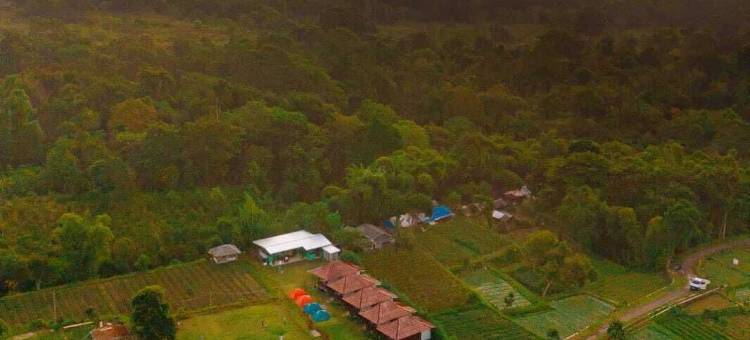 巴勒甘塔(Bale Gantar)图片