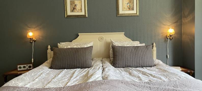 阿林索斯旅馆 - 植物园别墅 - 青年旅舍(AlingsÃ¥s Vandrarhem - Villa Plantaget - Hostel)图片