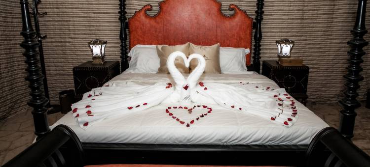 豪华沙漠营地阿曼(Luxury Desert Camp Oman)图片