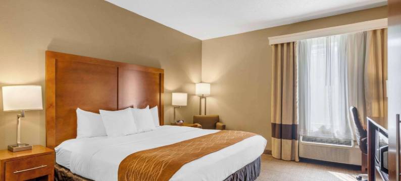 舒适酒店-北区/巴黎(Comfort Inn North-Polaris)图片