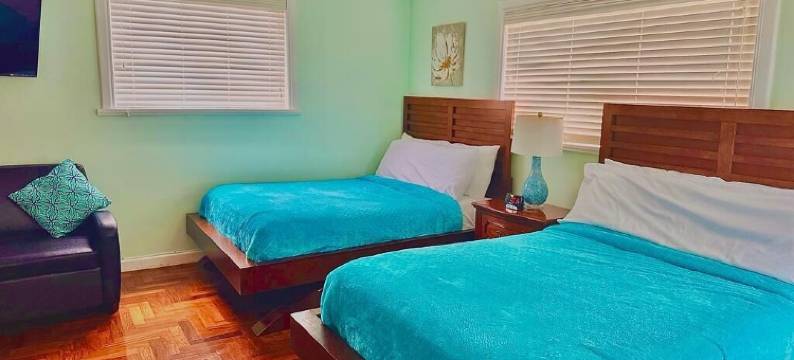 蓝舍民宿(Blue House Miami)图片