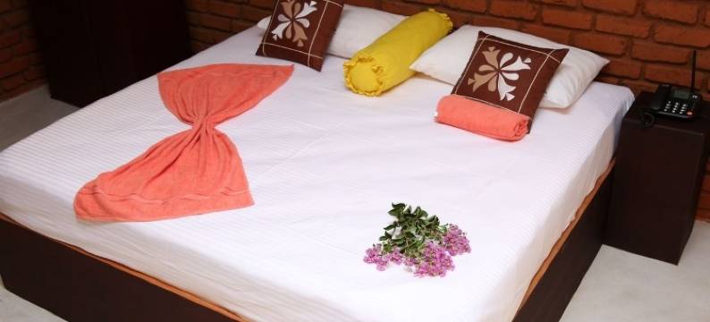 维维拉酒店(Hotel Viverra)图片