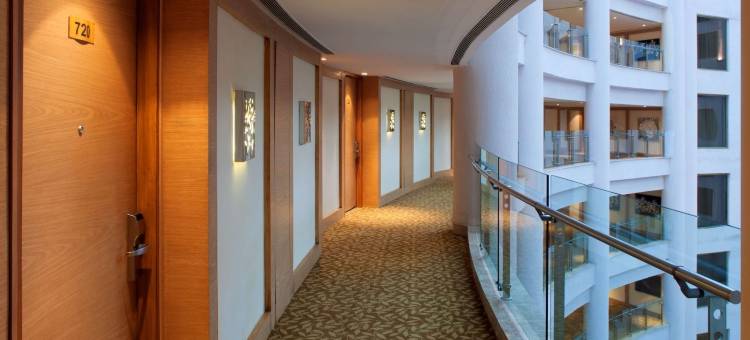 新德里德瓦卡丽笙酒店(Radisson Blu New Delhi Dwarka)图片