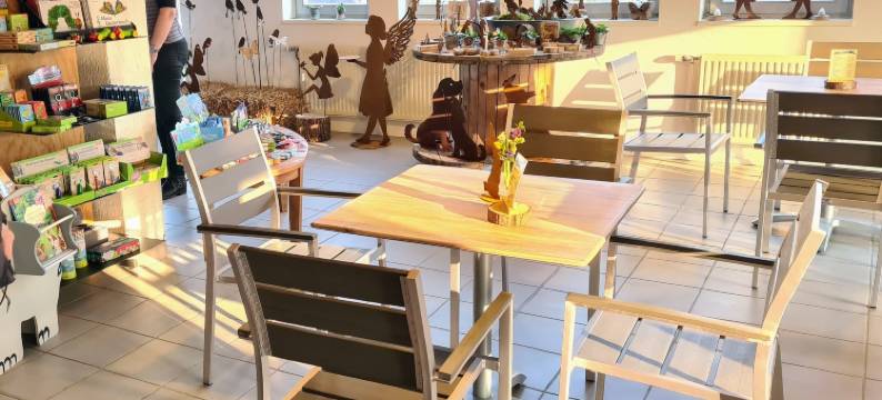 蝴蝶之家(Haus der Schmetterlinge)图片