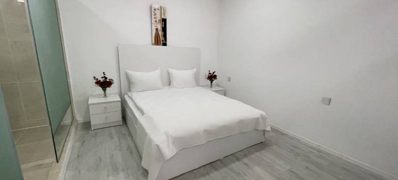 白色之家-巴库(La Maison Blanche Baku)图片