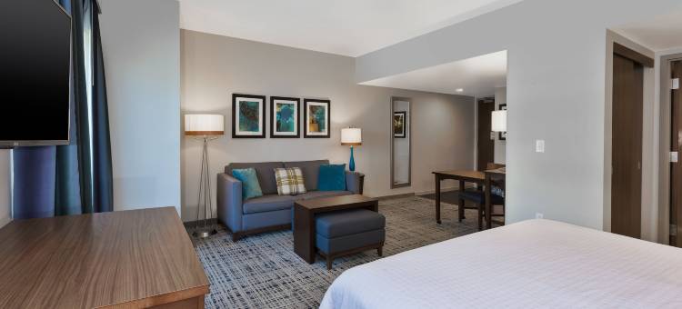 Hilton制造盒子首晒查尔特兴奋旅馆(Homewood Suites by Hilton Charlotte Uptown First Ward)图片