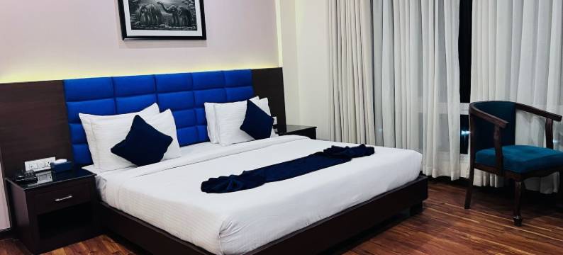 尼泊尔瑞卡酒店- Bira特昭克(Nepalirika Hotel Biratchowk)图片