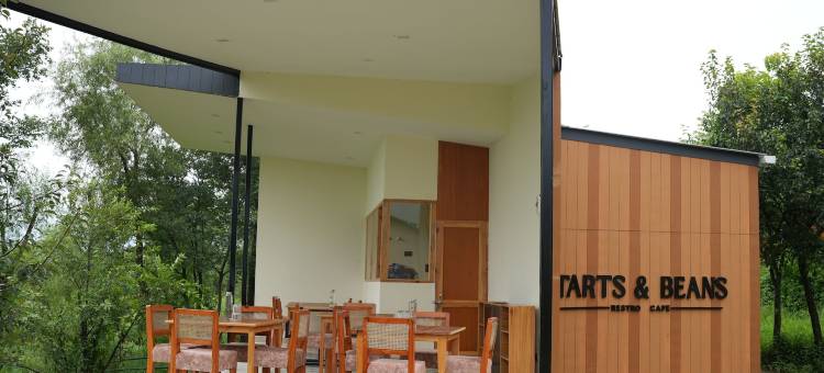 达索拉斯比尔(The Solace Bir)图片