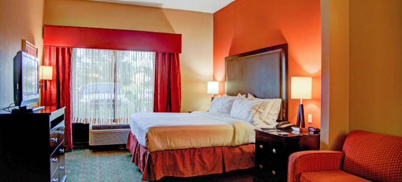 智选假日套房酒店泰勒南(Holiday Inn Express & Suites TYLER SOUTH by IHG)图片