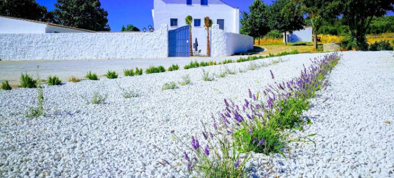 伦达时刻酒店(Hotel Ronda Moments)图片