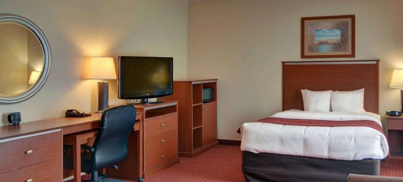 舒适套房酒店(Quality Suites Near Cedar Creek Lake)图片
