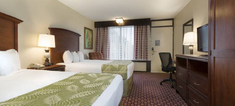 奥兰多罗森酒店(Rosen Inn at Pointe Orlando)图片