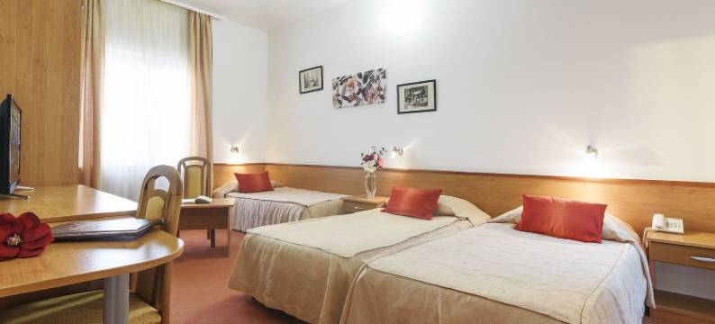 维科酒店(Villa Vicko)图片