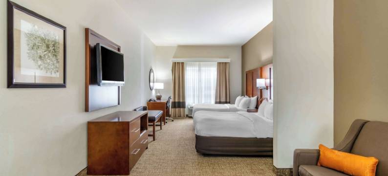 近伯特利学院舒适套房酒店(Comfort Inn & Suites Near Bethel College)图片