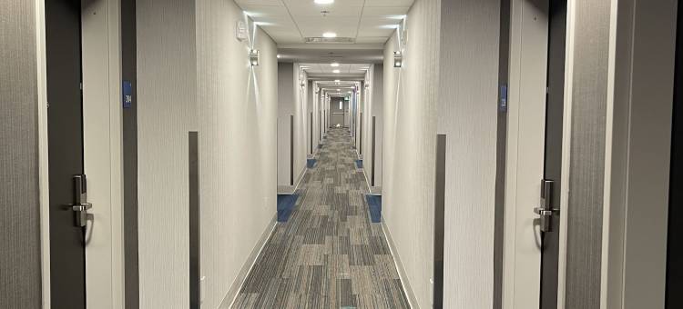 渥太华加蒂诺智选假日套房酒店(Holiday Inn Express & Suites Gatineau - Ottawa)图片