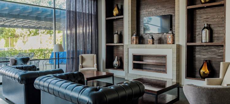 塞拉亚欢朋酒店(Hampton Inn by Hilton Celaya)图片