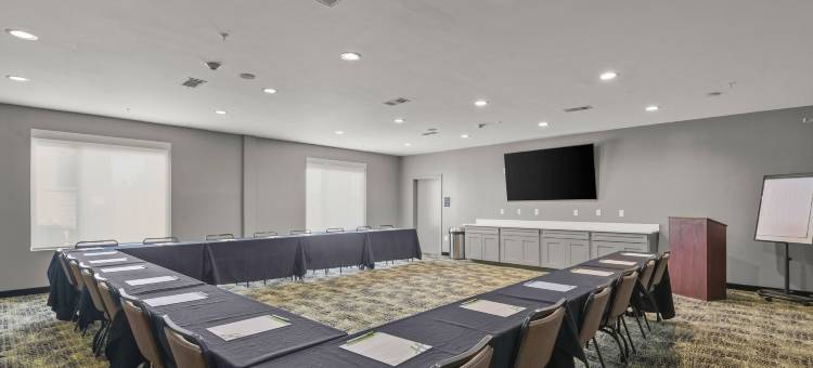 洲际酒店集团假日酒店 冈萨雷斯(Holiday Inn Gonzales)图片