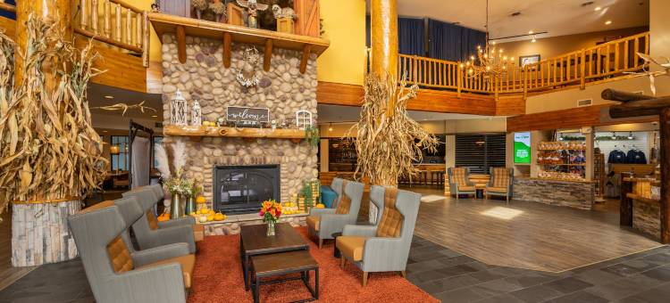 饥饿岩大熊度假村(Grand Bear Resort at Starved Rock)图片