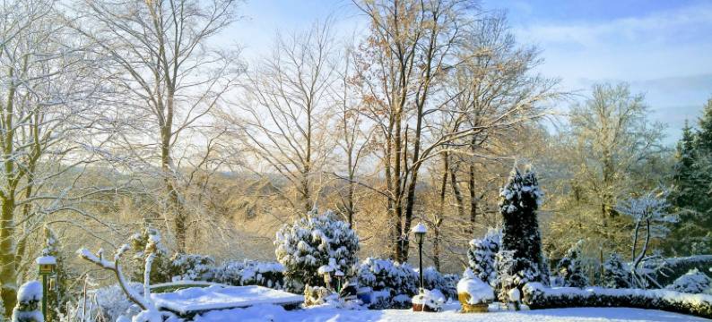 霍亨威民宿(Bed and Breakfast am Höhenweg)图片