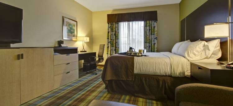 Holiday Inn 克里斯琴斯堡布莱克斯堡(Holiday Inn Christiansburg Blacksburg)图片