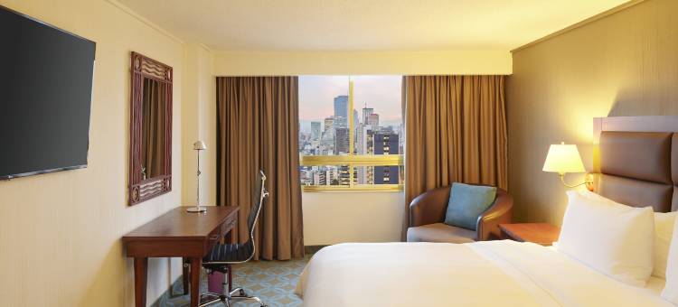 美洲嘉年华改革大道酒店(Fiesta Americana Reforma)图片